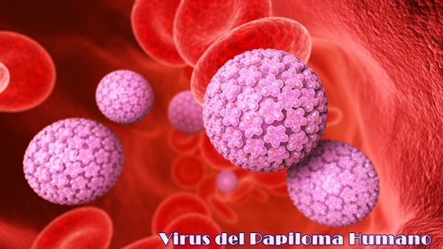 virus del papiloma humano